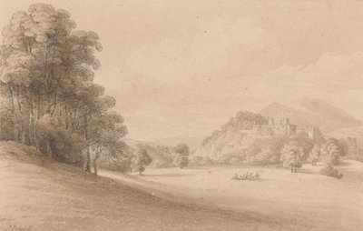 Castello di Dunster, Somerset: Vista del castello in lontananza da Joseph Powell
