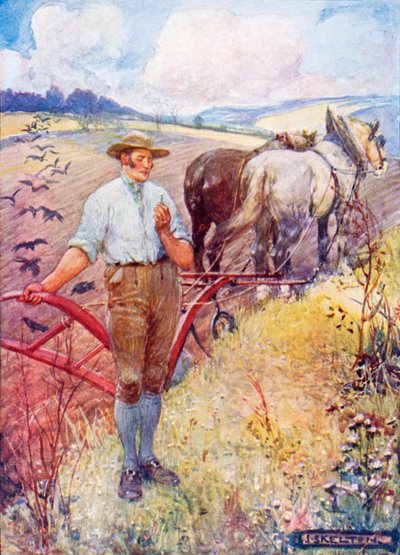 A una margherita di montagna di Robert Burns da Joseph Ratcliffe Skelton