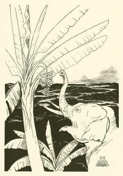 Il Bambino dell