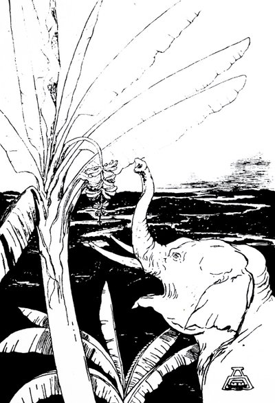 Illustrazione di un elefante di Kipling (incisione) da Joseph Rudyard Kipling