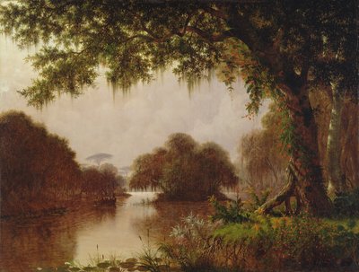 Palude sul Mississippi, 1871 da Joseph Rusling Meeker