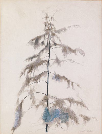 Pine Tree da Joseph Stella