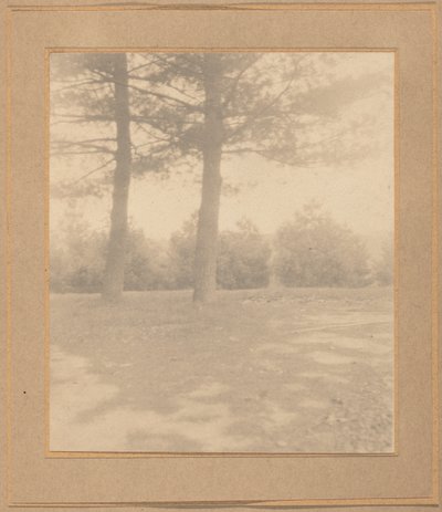 Paesaggio con alberi da Joseph T. Keiley