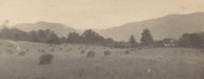 Paesaggio con alberi e montagne, c. 1900 (foto) da Joseph T. Keiley