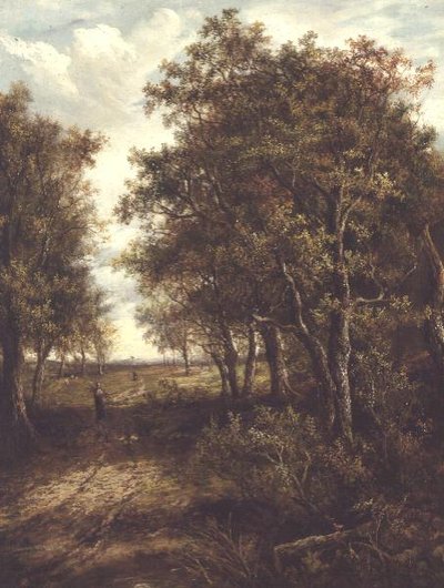 Una radura nel bosco da Joseph Thors