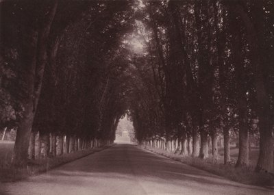 Vialetto, Château de Grand-Vaux, Savigny-sur-Orge, casa della famiglia Vigier, 1855 circa (foto) da Joseph Vigier