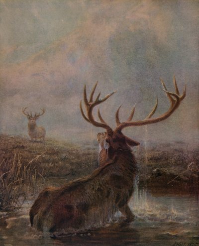 Interrotto, 1875, 1938 da Joseph Wolf
