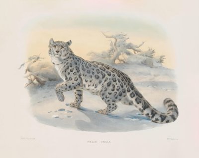  da Joseph Wolf