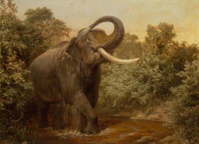Il mostro elefante da Joseph Wolf