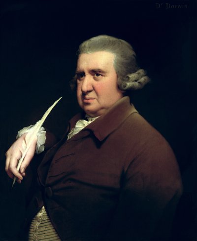 Ritratto del Dr Erasmus Darwin (1731-1802) scienziato, inventore e poeta, nonno di Charles Darwin da Joseph Wright of Derby