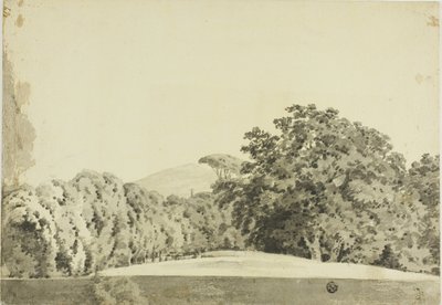Paesaggio boschivo da Joseph Wright of Derby