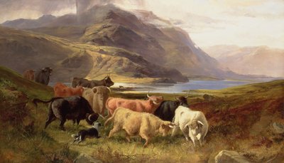 Bovini delle Highlands con un collie da Joseph and Adam, Joseph Denovan Adam