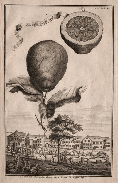 Nurnbergische Hesperides: La Luchetta Imoperiale da Joseph de Montalegre
