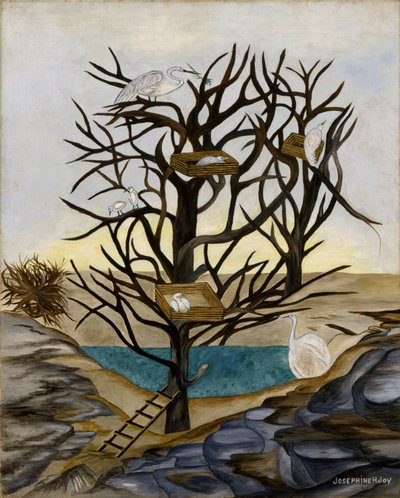 Nidificazione degli uccelli acquatici da Josephine Joy