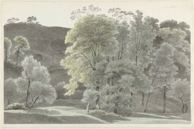 Alberi nei dintorni di Subiaco da Josephus Augustus Knip
