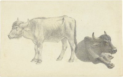 Bovino sdraiato e in piedi da Josephus Augustus Knip