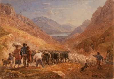Pastori che conducono bovini e pecore attraverso il passo di Tal-y-Llyn, Galles da Joshua Cristall