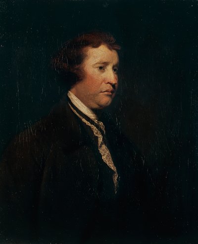 Ritratto di Edmund Burke da Joshua Reynolds