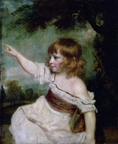 Ritratto di Francis George Hare, figlio maggiore di Francis Hare Naylor (1753-1815) 1788-9 da Joshua Reynolds