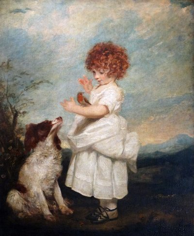 Ritratto di Master Philip Yorke da Joshua Reynolds