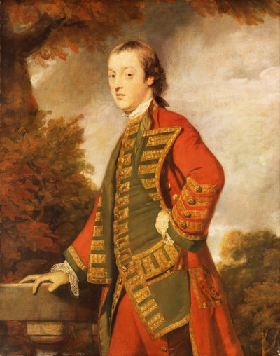 Ritratto di Sir Gerard Napier, 6° baronetto da Joshua Reynolds