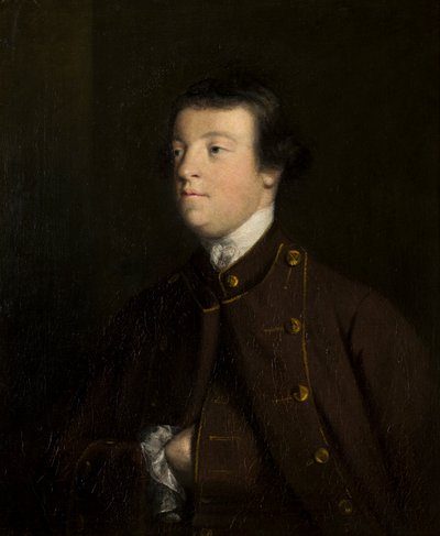 Ritratto di Sir William Lowther, 3° Bt., c.1747-56 da Joshua Reynolds