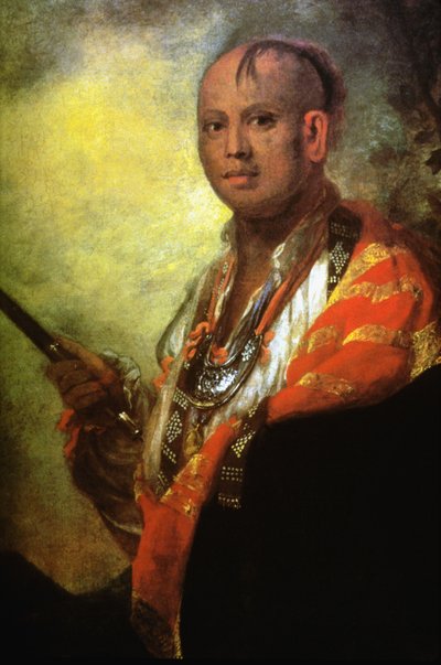 Ritratto di Syacaust Ukah, capo della tribù dei Cherokee da Joshua Reynolds
