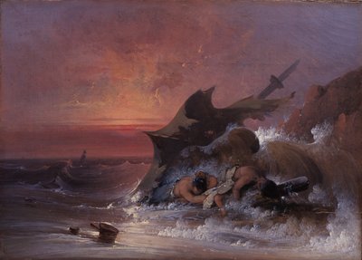 Dopo la tempesta da Joshua H. Shaw