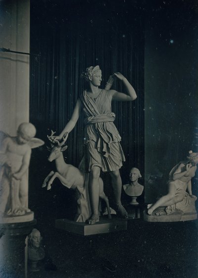 Galleria di sculture, Boston Athenaeum da Josiah Johnson Hawes, Albert Sands Southworth