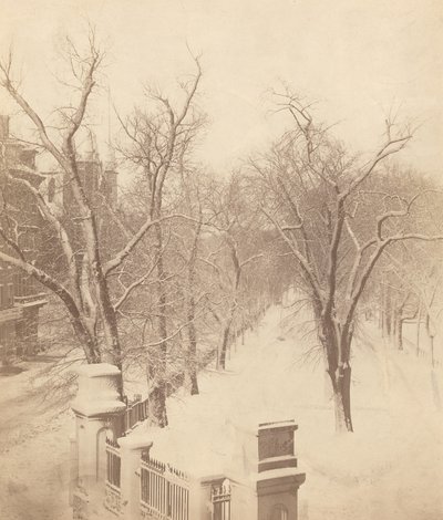Scena di neve al Boston Common da Josiah Johnson Hawes