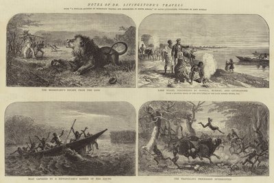 Note dei viaggi del Dr Livingstone da Josiah Wood Whymper