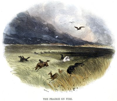 Prateria in Fiamme, da Fenomeni della Natura, 1849 da Josiah Wood Whymper
