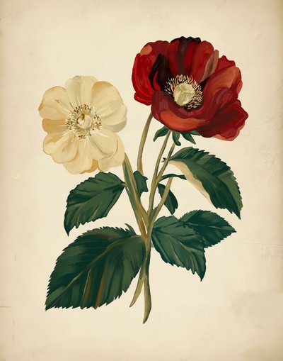 Eleganti fiori rossi e gialli da Josie George