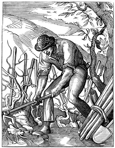 Vinificatore, 16° secolo, 1849 da Jost Amman