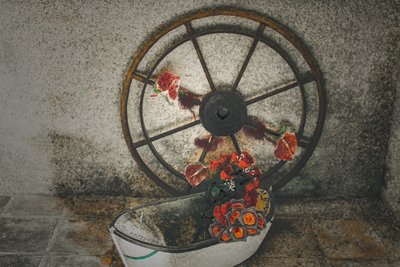 Fiori per i marinai, dalla serie Chapelle du Canal, 2016 (fotografia) da Joy Lions