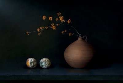 Natura morta scura con frutta da Juan Antonio Palacios