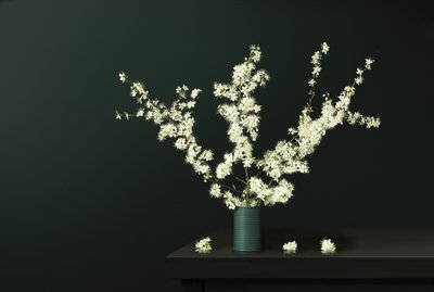 Fiori freschi di primavera da Juan Antonio Palacios