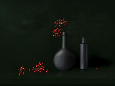 Natura morta moderna con frutti di bosco da Juan Antonio Palacios