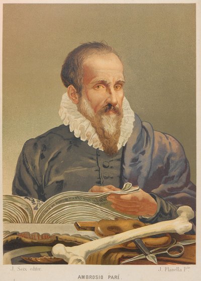 Ritratto di Ambroise Paré, 1879 da Juan Planella y Rodríguez