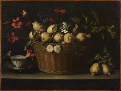 Natura morta con limoni in un cesto di vimini, ca 1643-1649 da Juan de Zurbaran