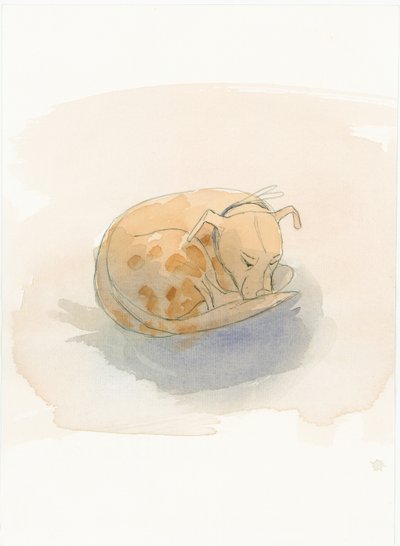 Cane che dorme da Judith Dobie