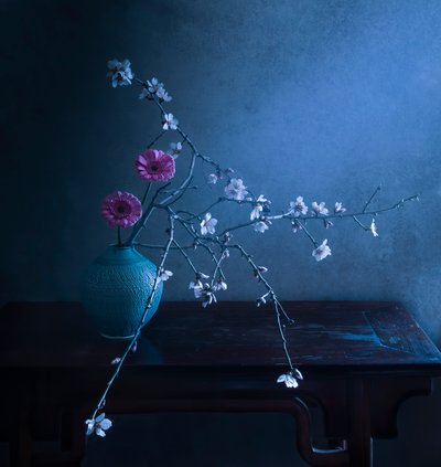  da Judy Tseng