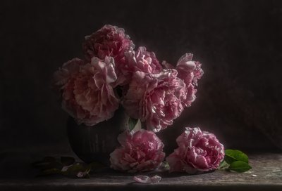 Peonie rosa scuro da Judy Tseng
