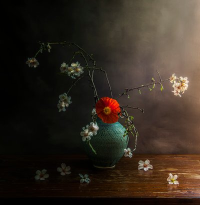  da Judy Tseng
