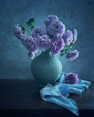 Rose viola tranquille da Judy Tseng