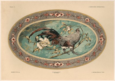 Gallo, tavola 37 da 