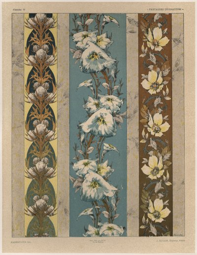 Fiori, tavola 18, illustrazione da 