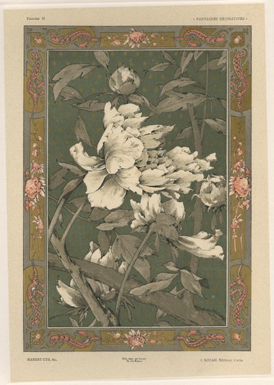 Fiori, tavola 31 da 
