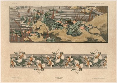Rane e fiori, tavola 47 da 