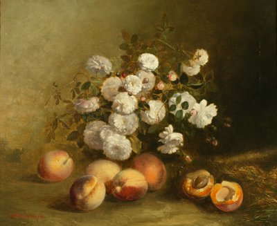 Fiori e albicocche da Jules Bidlingmeyer